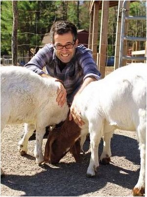 напряжение напряжение