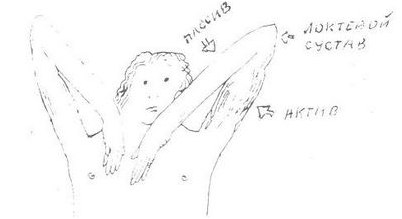 клетки костного