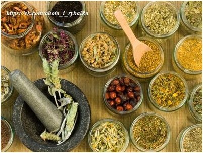 сокращение