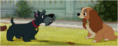 мужского пола