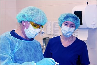 сладкого гумуса