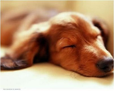 исследователи обнаружили