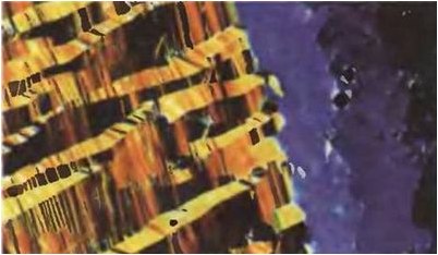 генетические мутации