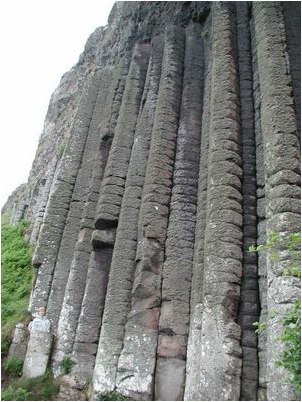 матка матка