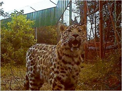 устройство