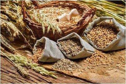 магнитной ориентацией магнитной ориентацией