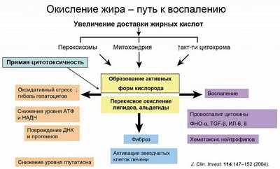 лечение лечение