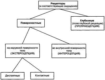 уклон уклон