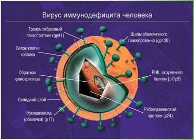 вирус вирус