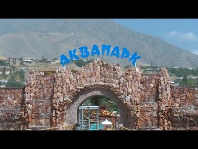 трансплантация