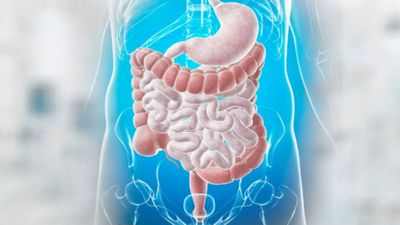 Исследования показывают, что туалетный стул может решить общие проблемы с кишечником