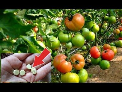 инсульт инсульт