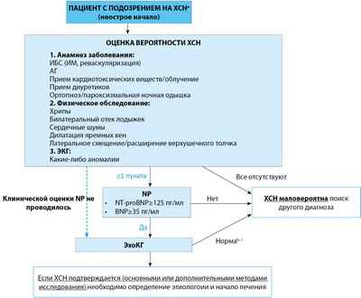 Женщины с АГ и диабетом реже используют альтернативный рецептор