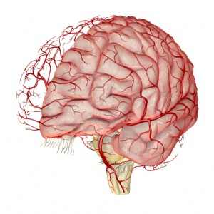 Медицинская минута - Что такое сосудистое заболевание? Медицинская минута - Что такое сосудистое заболевание?