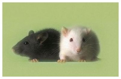 обнаружить обнаружить