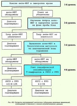туберкулез туберкулез