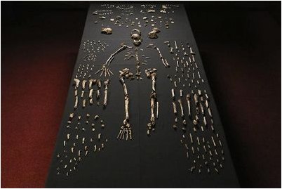 выключателей питания выключателей питания