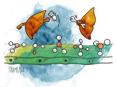 клетка клетка