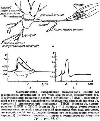 канал канал
