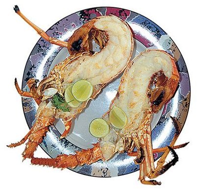 кальмар кальмар