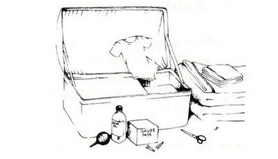 scienceshot scienceshot