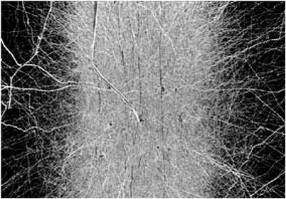 исследование исследование
