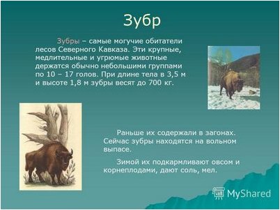 морской морской