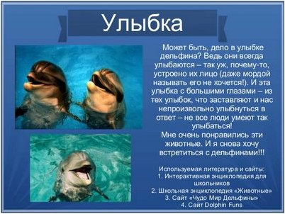 дельфин дельфин