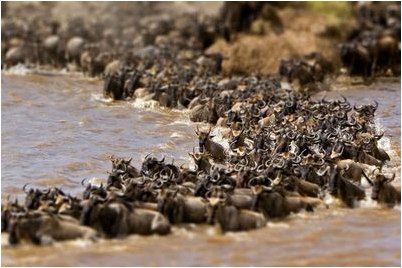 ошибка ошибка