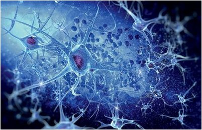 молекула молекула