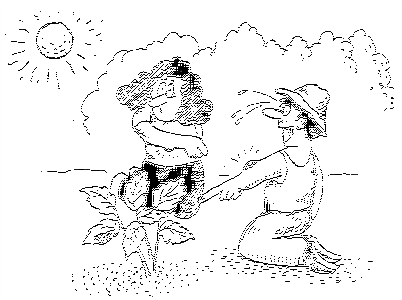 головного мозга головного мозга