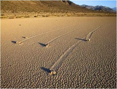 университет