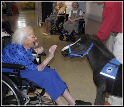 закон закон