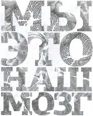 фолиевой фолиевой