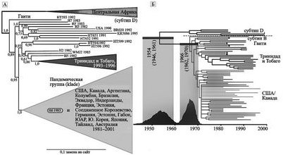 осуществление