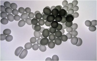 стафилококк стафилококк