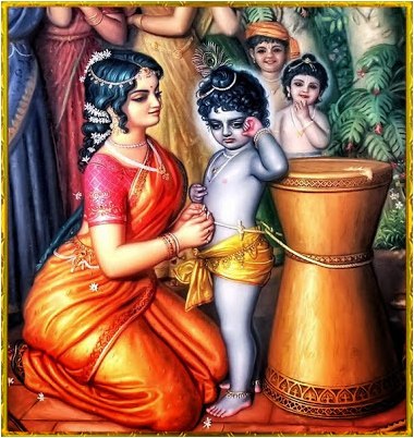 акулы кита акулы кита