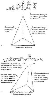 вирус