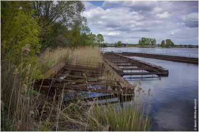 американский