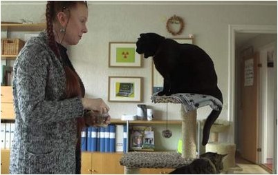 голод голод