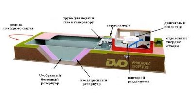 были клонированы