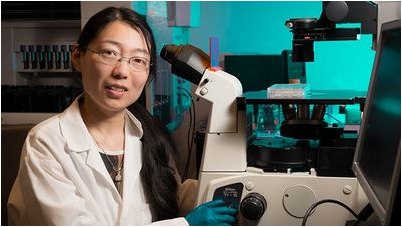 исследователь