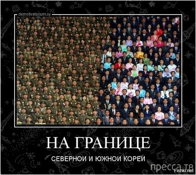 путешественник путешественник