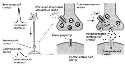 управление