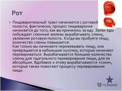 вирус