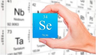 альцгеймера альцгеймера