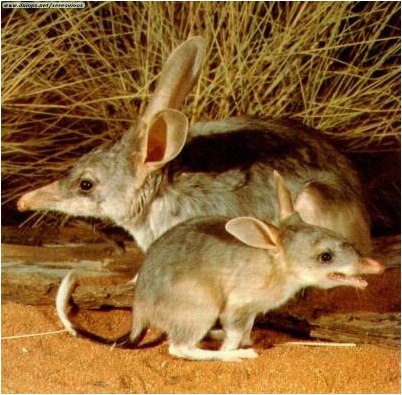 большая часть