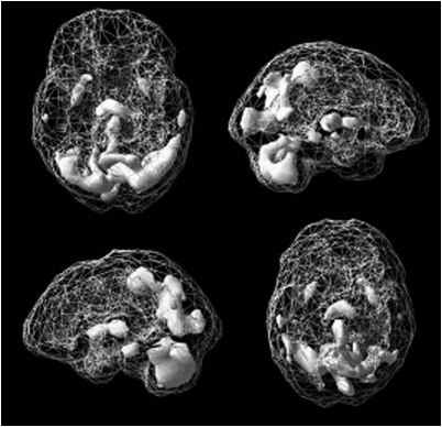сканирования сканирования
