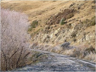 сильного ветра