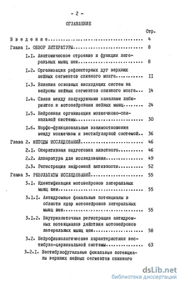 мотонейронов